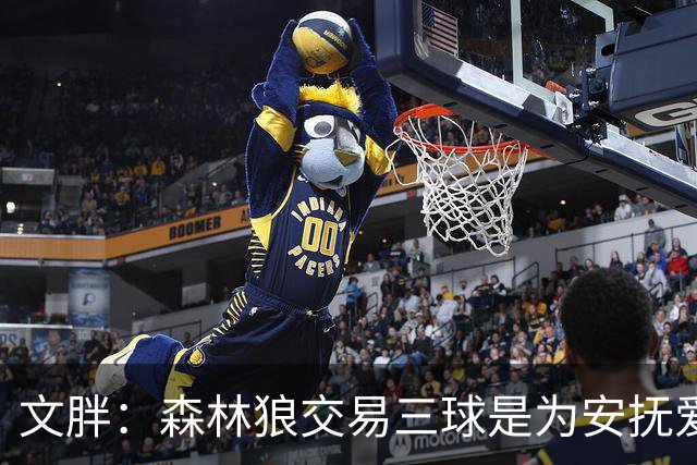 文胖：森林狼交易三球是为安抚爱德华兹 他一赛季被包夹近1000次